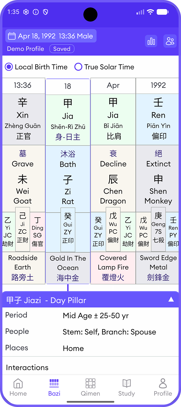 Bazi chart in details